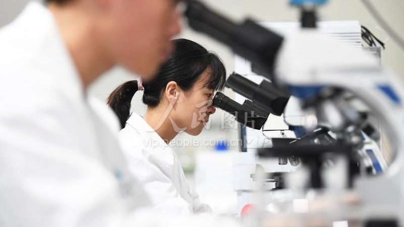 无动物源培养基：生物科技研发的绿色选择