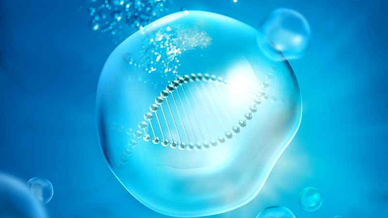 广州哺乳动物细胞培养代工：揭秘生物制药的关键环节**