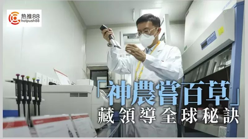 离心管报价单，如何解读规格型号背后的秘密？**