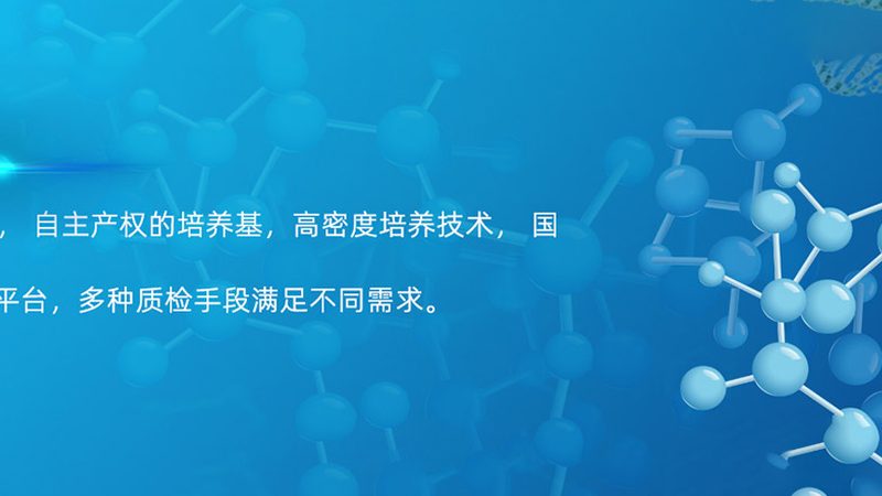 揭秘上海细胞工厂报价单：解析生物制药的定价逻辑
