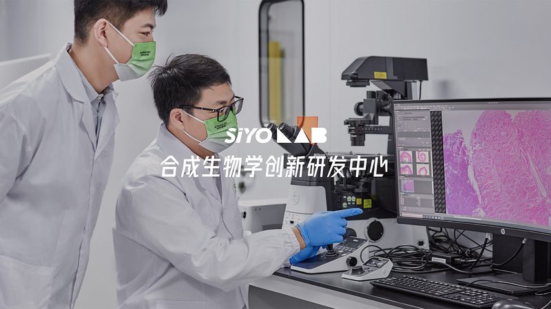 cro优化团队哪家专业