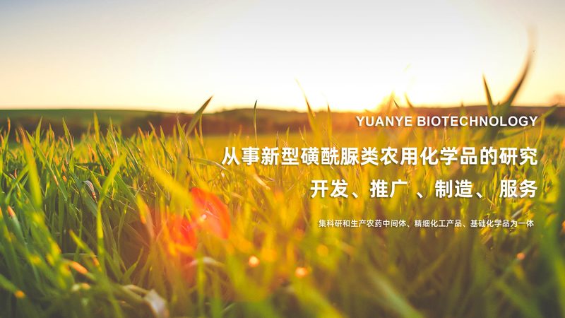肿瘤磷酸化抗体WB检测：精准探秘肿瘤分子机制**