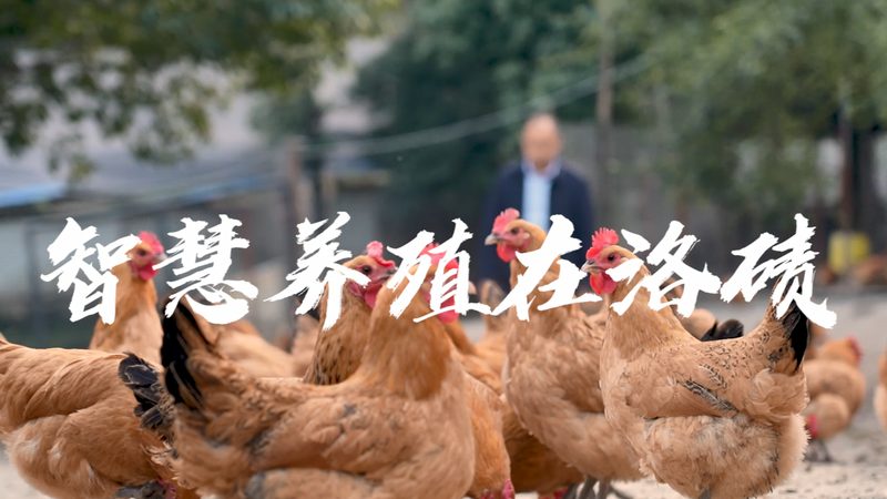 广州生物科技公司如何选择？关键在于技术实力与合规标准**