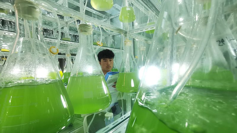 实验室耗材材质：揭秘如何选择高品质产品